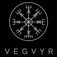 Vegvyr logo - Similar company to Pedanco