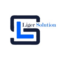 LIGER SOLUTION logo - Similar company to Edefinition Pvt Ltd