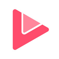 Vocal Video logo - Similar company to Trustroo - A Market Place Powered By Trust