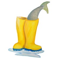 Fish & Farm logo - Similar company to Murray Cod Fish Farm