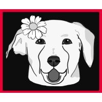 Daisy May's Pet Transport logo - Similar company to World Pet & Animal Transport