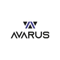 Avarus Marketing Empresarial logo - Similar company to Avarus Solutions