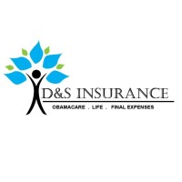 D&S Insurance logo - Similar company to Farmers Insurance: Daniel Quiroga