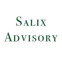 Salix Advisory SPRL logo - Similar company to Salix & Co
