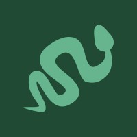 Digital Brother logo - Similar company to Digital Brothers
