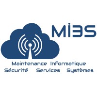 MI3S logo - Similar company to Procellence Business Club