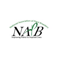 NAPB Graduate Students logo - Similar company to Scholarup Mentoring Academy