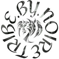 Tribe By Noire logo - Similar company to Adrift Visuals