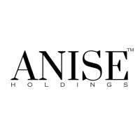 Anise Holdings Co. logo - Similar company to Samadrock | Egypt
