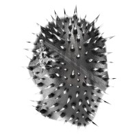 House of Autonomy logo - Similar company to Ventiquattro