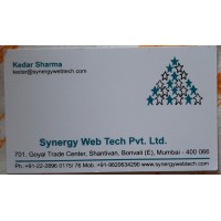 SYNERGY WEB-TECH PRIVATE LIMITED logo - Similar company to Mirance Hr Solutions