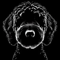 Blackdog logo - Similar company to Uberflug Tech Marketing