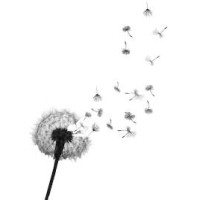 Blomsten logo - Similar company to Bjørn Caning'S Eftf.