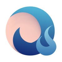 Delight Solutions logo - Similar company to Calledgeconsulting