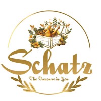 Schatz- The Treasure in You logo - Similar company to P Square Tech Hub