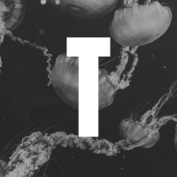 Terrestres logo - Similar company to Autopoïèse