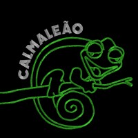 Grupo Calmaleão logo - Similar company to Sf Labs