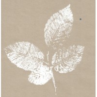IFOLIA - coopérative d'habitation logo - Similar company to Pedestrian Mobility Switzerland