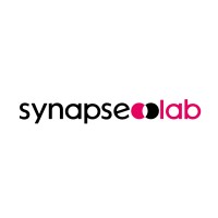 Synapse Lab logo - Similar company to Rtit Consulting