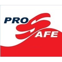 ProSafe Protection Products logo - Similar company to Maxi Security