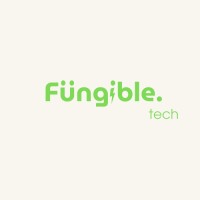 Fungible logo - Similar company to Dirigible Technologies Services
