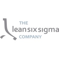 The Lean Six Sigma Company CEE logo - Similar company to European Academy Of Rehabilitation Medicine