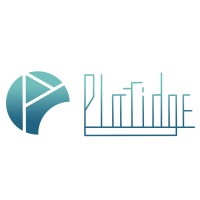 Plaridge Engineering Software logo - Similar company to Dimadi