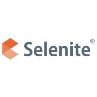 Selenite Business Solutions Pvt. Ltd. logo - Similar company to Waybeyond