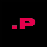 Punktual logo - Similar company to Argo Lab