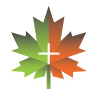 Maple Design logo - Similar company to Maple Design