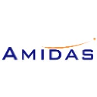 Amidas Hong Kong Limited logo - Similar company to Kepro Solutions Limited