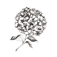 Érase una vez novias... logo - Similar company to Anvito