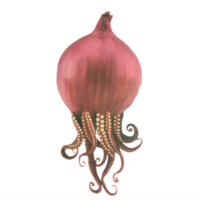 Octoponion logo - Similar company to Pacific Blue Studios