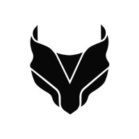 Lynksen logo - Similar company to 1991 Accelerator