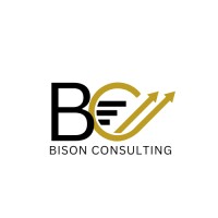 Bison Consulting logo - Similar company to Bison Accounting