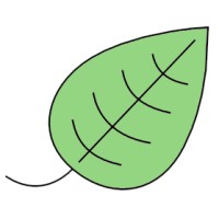 Digital Leaf Academy