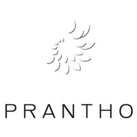 Prantho GmbH logo - Similar company to Sighteffect