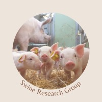 Swine Research Group logo - Similar company to Pigweb
