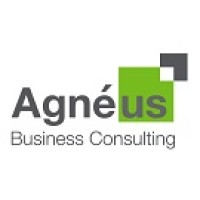 Agnéus Business Consulting