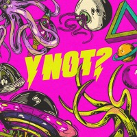 Y Not Festival logo - Similar company to Tramlines Festival