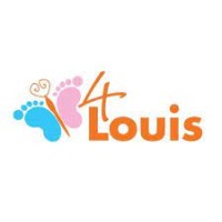 4Louis logo - Similar company to Sudc Uk