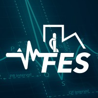 IMFES logo - Similar company to Inadea