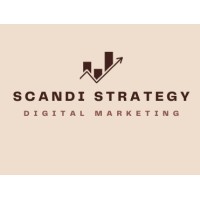 ScandiStrategy logo - Similar company to Avci Aps