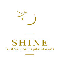 Shine Trust Services Capital Markets logo - Similar company to Yanabia