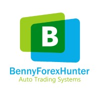 بنی فارکس هانتر BennyForexHunter logo - Similar company to Mrbitex. | صرافی ارز دیجیتال مستربیتکس
