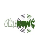Vingrows Business Solutions logo - Similar company to Vingrow
