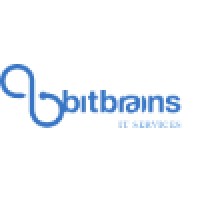 Bitbrains IT Services - since September 2015 Solvinity logo - Similar company to Axxius