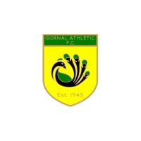 Gornal Athletic Football Club logo - Similar company to Lymphatouch