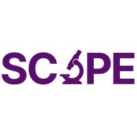 SCOPE logo - Similar company to Banan.Dev