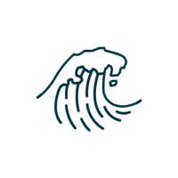 Whitecaps logo - Similar company to Engineers Without Borders Diliman